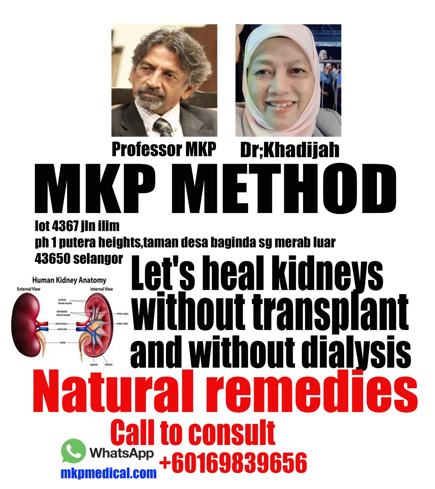 MKP Kidney Healing